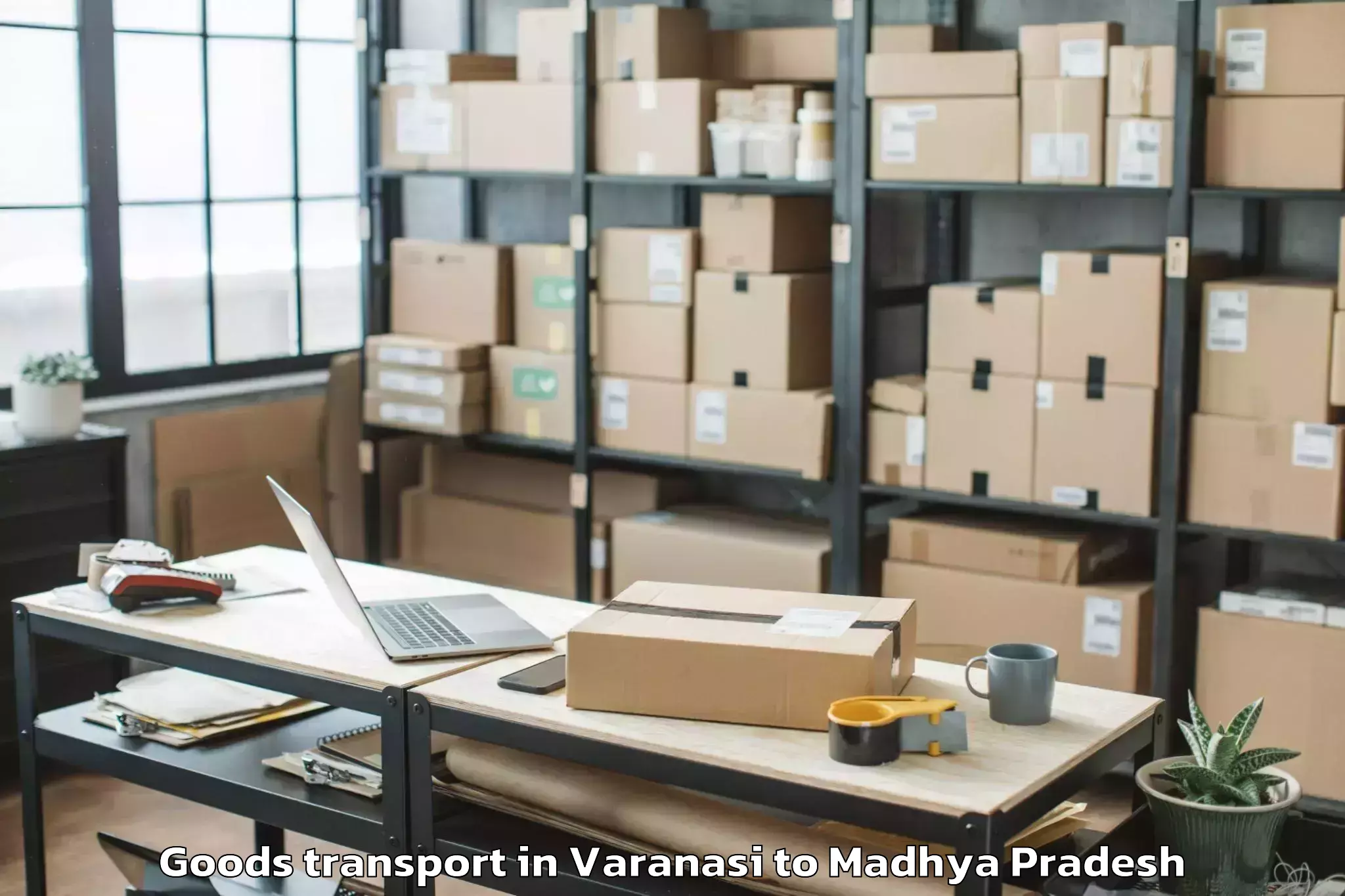 Get Varanasi to Mandu Goods Transport